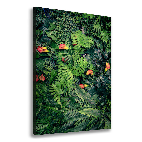 Canvas wall art Tropical plants