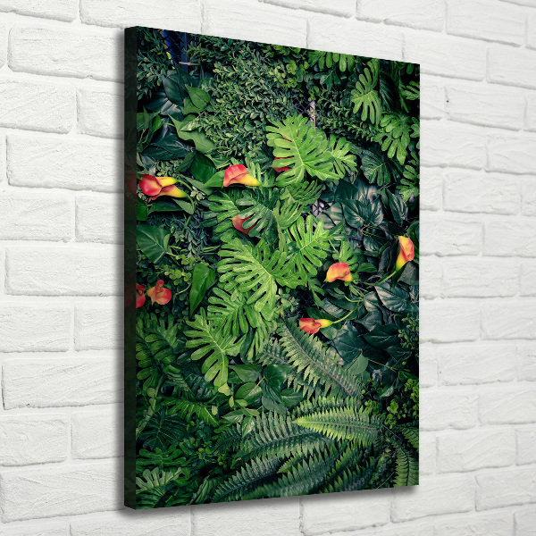 Canvas wall art Tropical plants