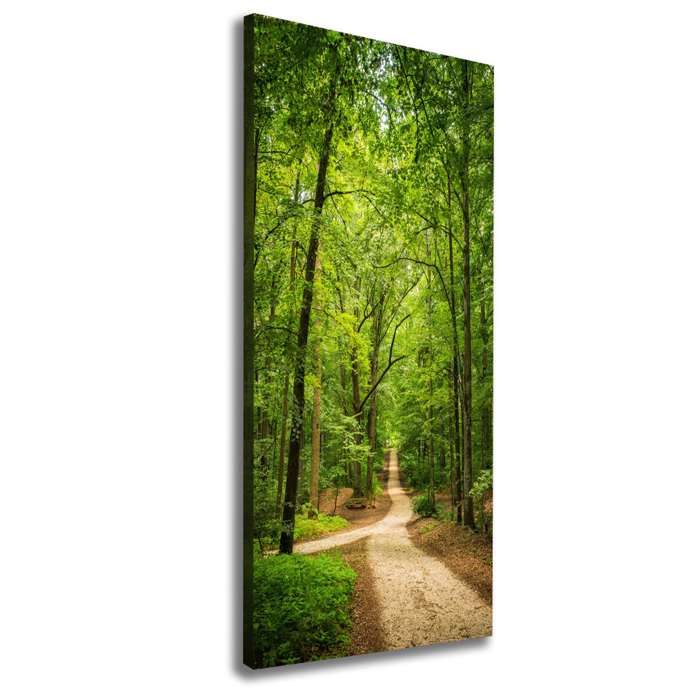 Canvas wall art Path in the forest