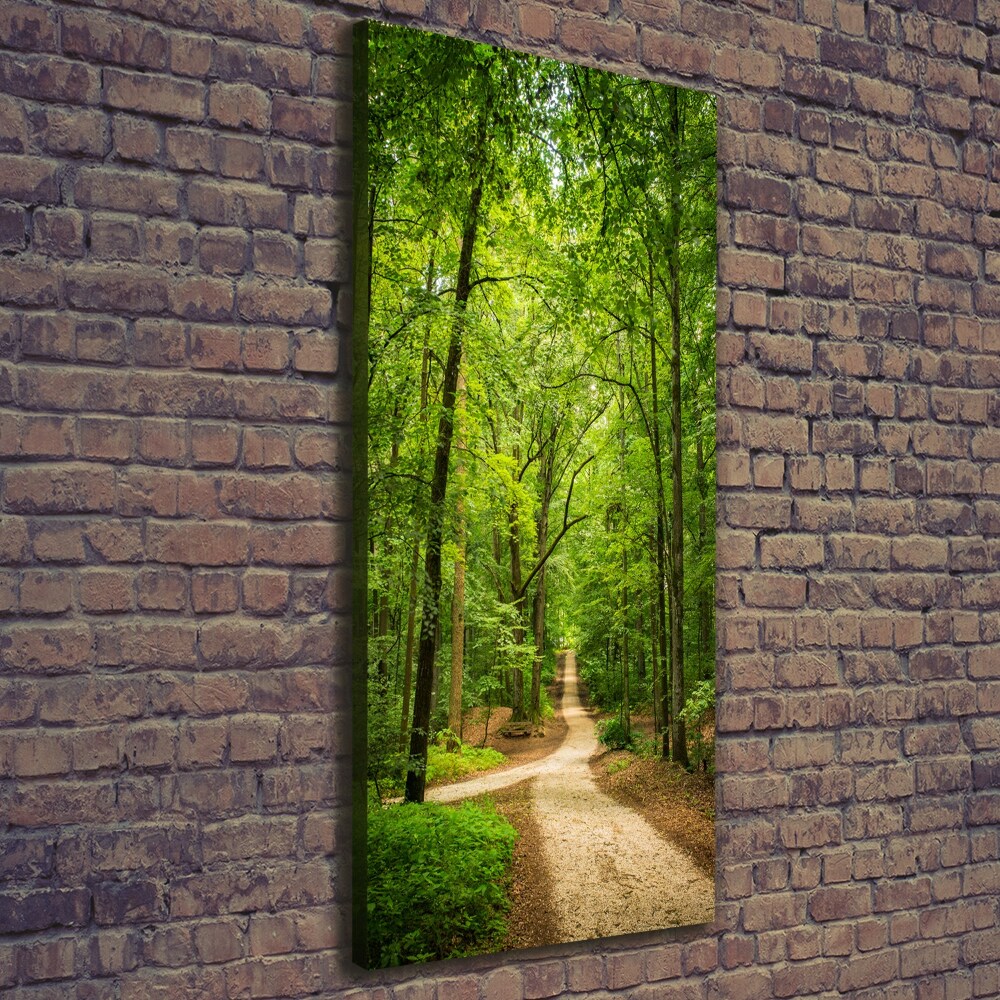 Canvas wall art Path in the forest