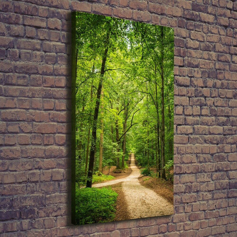 Canvas wall art Path in the forest