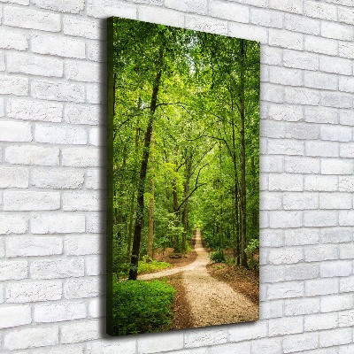 Canvas wall art Path in the forest