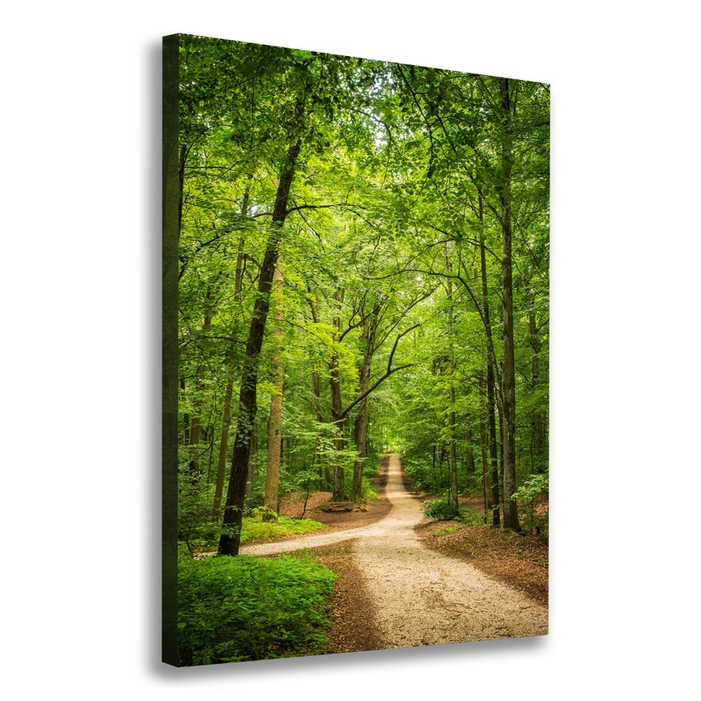 Canvas wall art Path in the forest