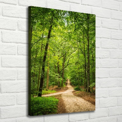 Canvas wall art Path in the forest