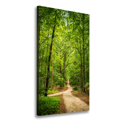 Canvas wall art Path in the forest