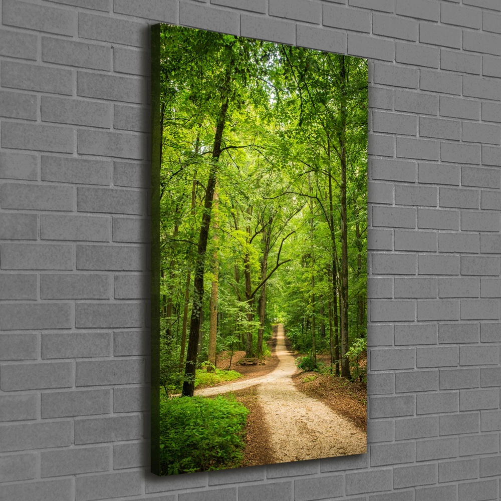 Canvas wall art Path in the forest