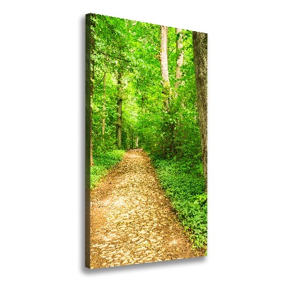 Canvas wall art Path in the forest