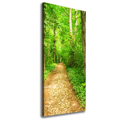 Canvas wall art Path in the forest