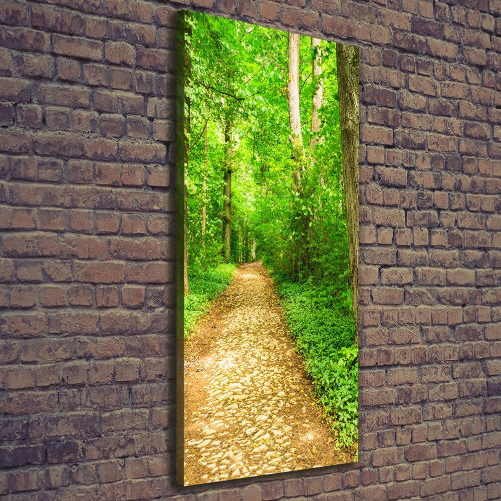 Canvas wall art Path in the forest