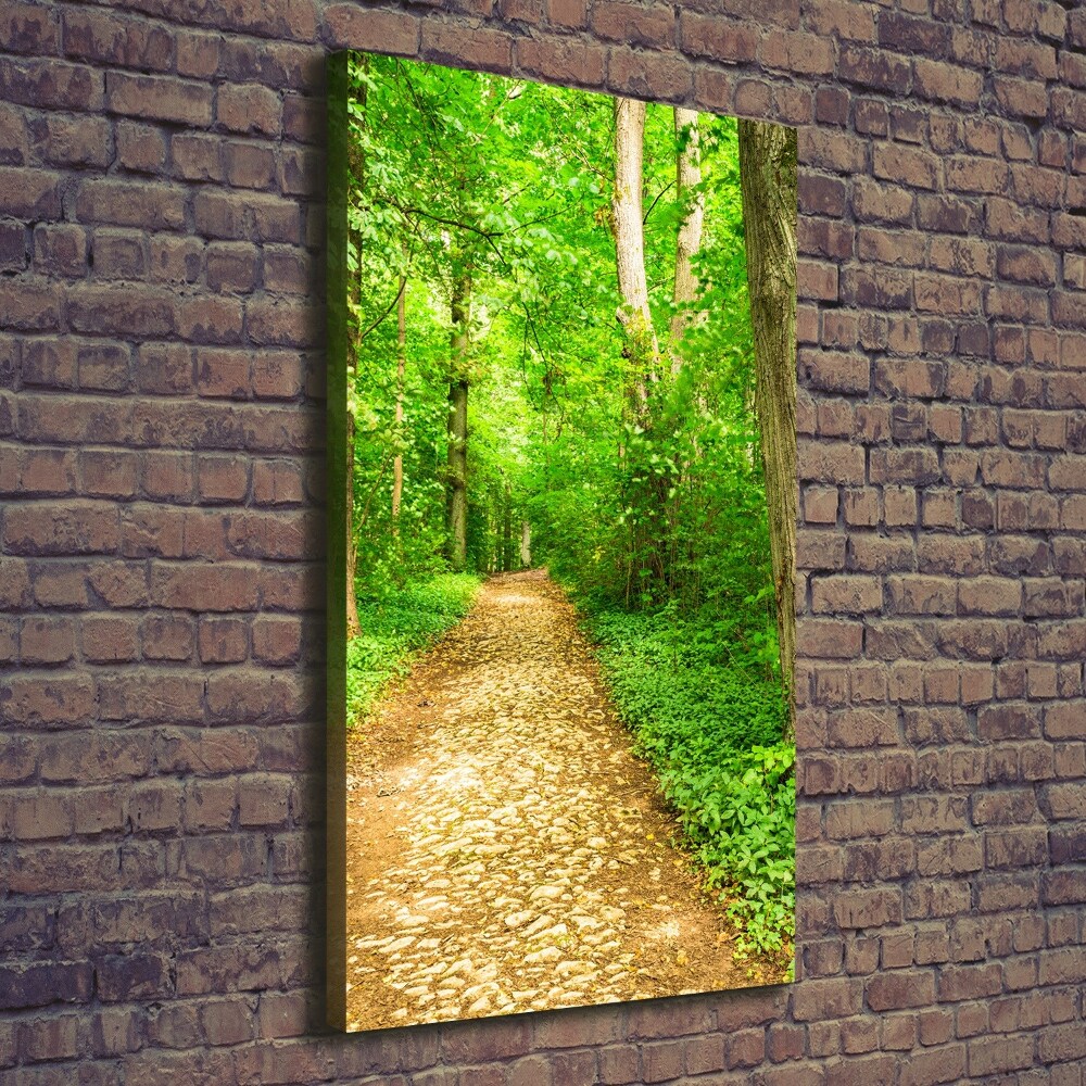 Canvas wall art Path in the forest