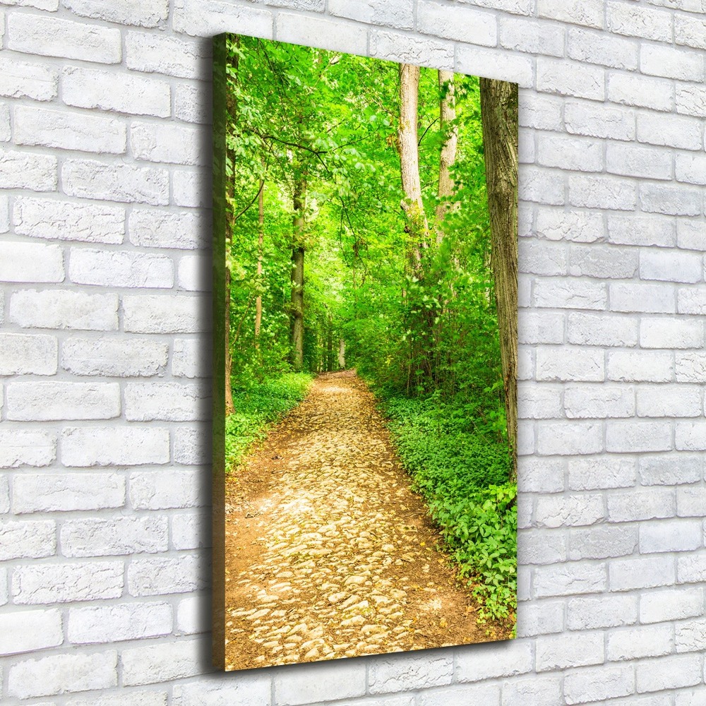 Canvas wall art Path in the forest