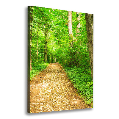 Canvas wall art Path in the forest