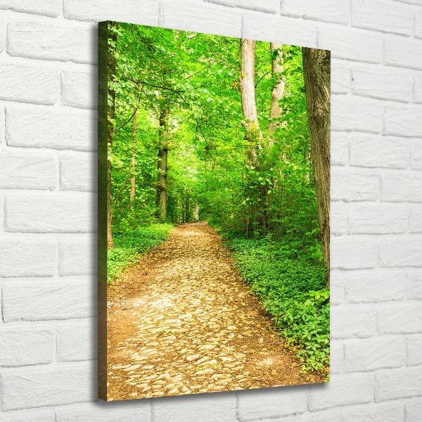 Canvas wall art Path in the forest