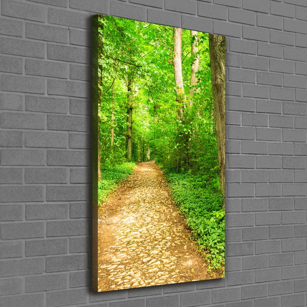 Canvas wall art Path in the forest