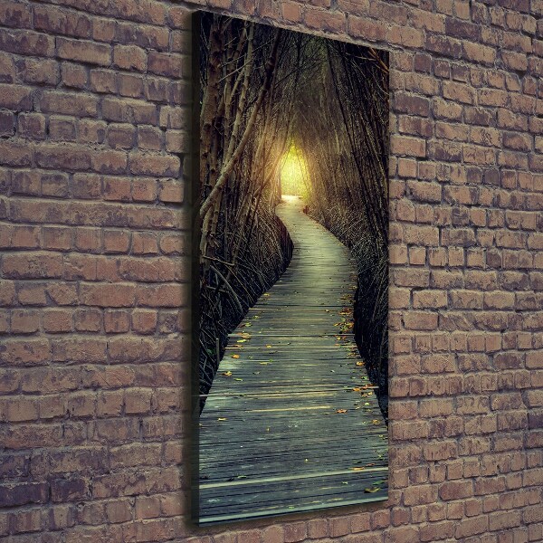 Canvas wall art Path in the forest