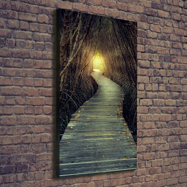 Canvas wall art Path in the forest