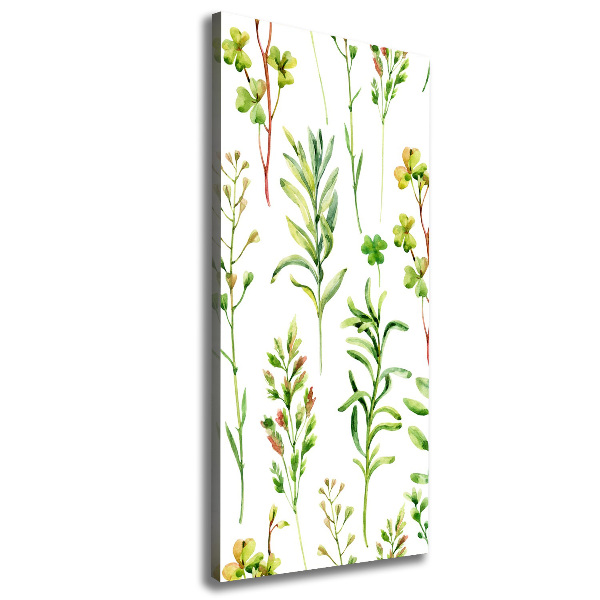 Wall canvas art Weeds and herbs