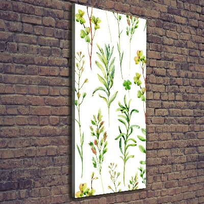 Wall canvas art Weeds and herbs