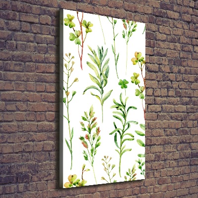 Wall canvas art Weeds and herbs