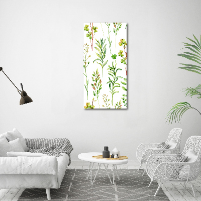 Wall canvas art Weeds and herbs