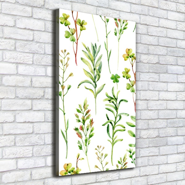 Wall canvas art Weeds and herbs