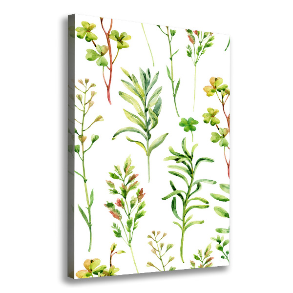 Wall canvas art Weeds and herbs