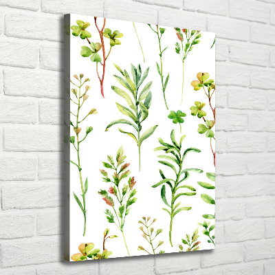 Wall canvas art Weeds and herbs