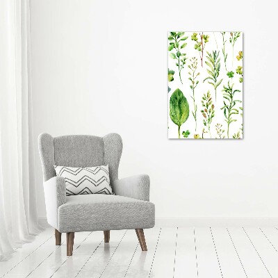 Wall canvas art Weeds and herbs