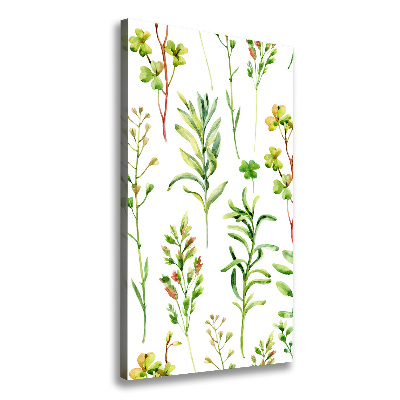 Wall canvas art Weeds and herbs