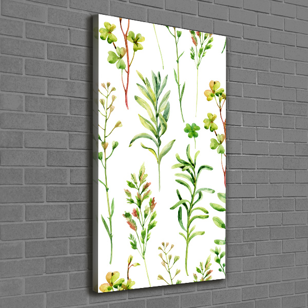 Wall canvas art Weeds and herbs