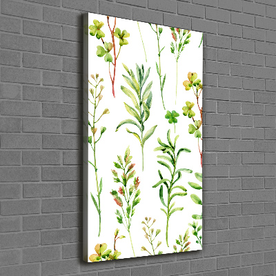 Wall canvas art Weeds and herbs