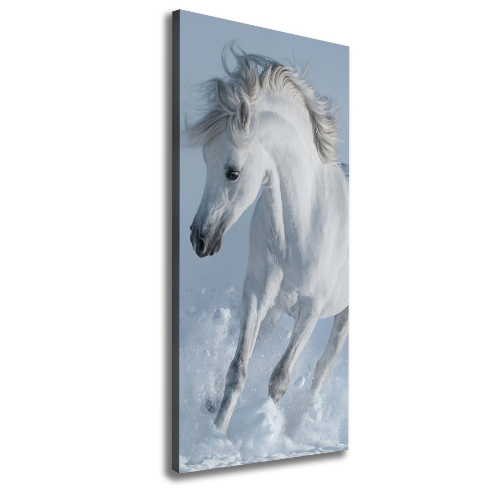 Canvas wall art White horse at a gallop