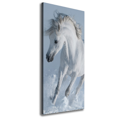 Canvas wall art White horse at a gallop