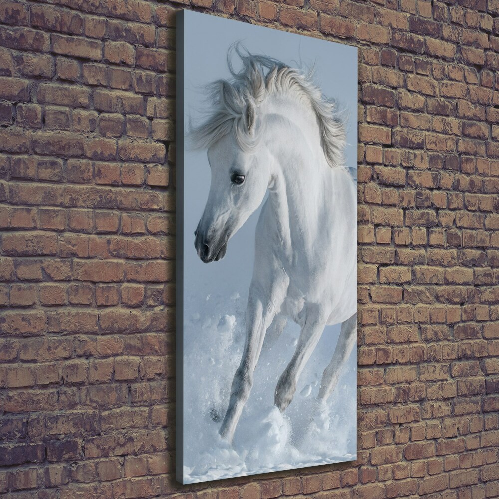 Canvas wall art White horse at a gallop