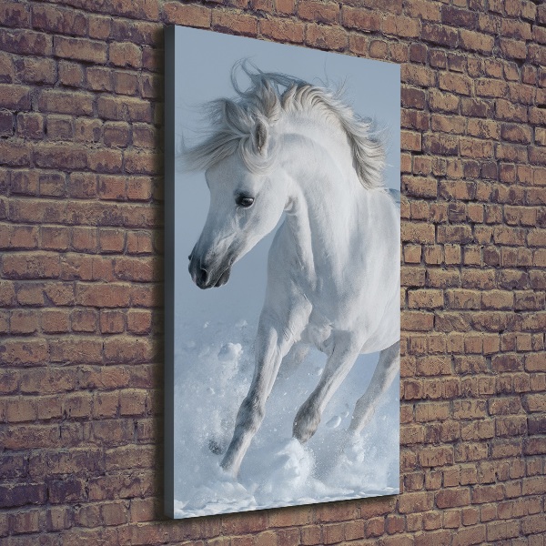 Canvas wall art White horse at a gallop