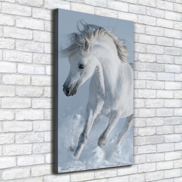 Canvas wall art White horse at a gallop