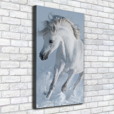 Canvas wall art White horse at a gallop