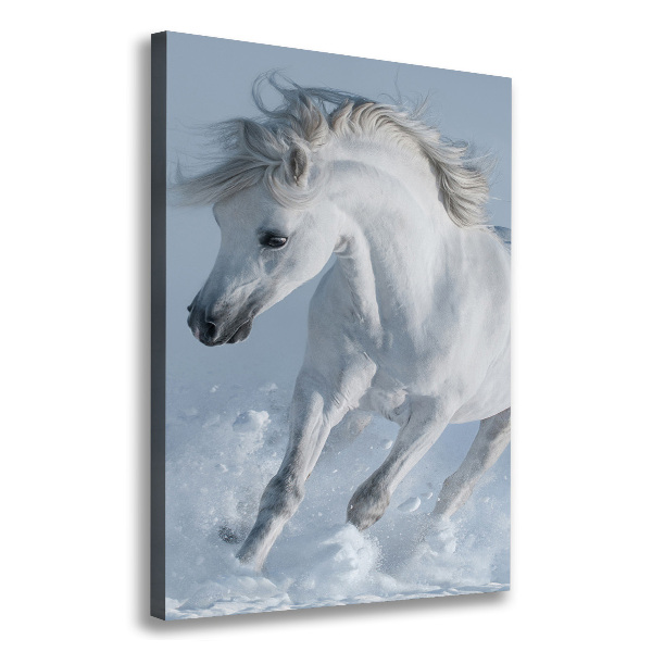 Canvas wall art White horse at a gallop