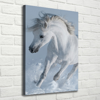 Canvas wall art White horse at a gallop