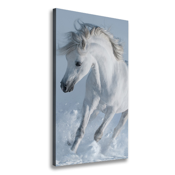 Canvas wall art White horse at a gallop