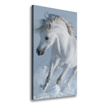 Canvas wall art White horse at a gallop