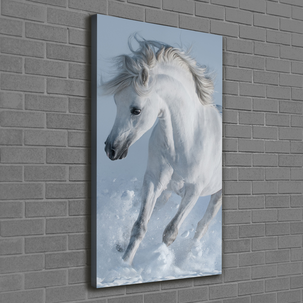 Canvas wall art White horse at a gallop