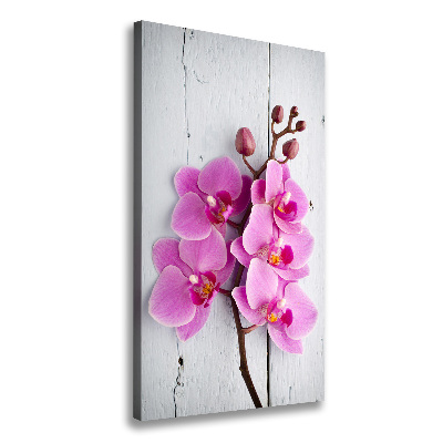 Canvas wall art Pink orchid