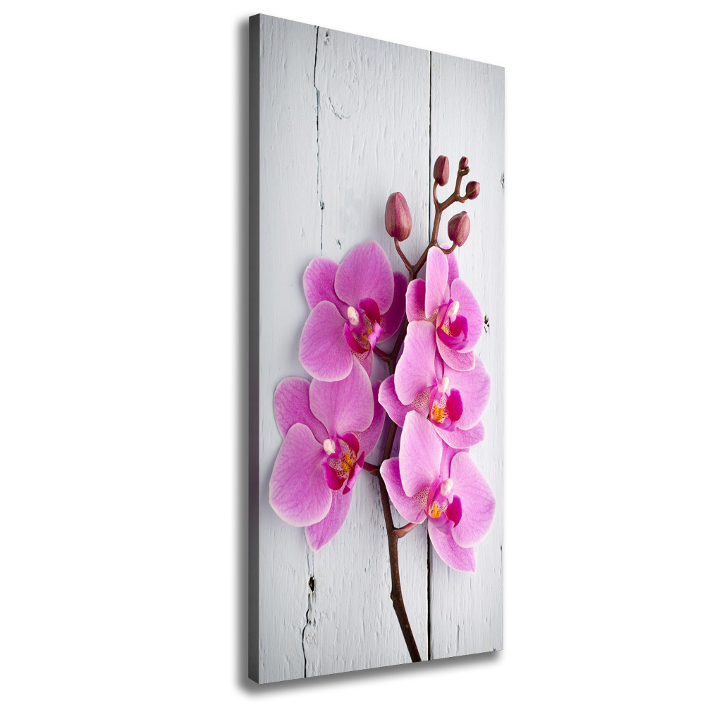 Canvas wall art Pink orchid