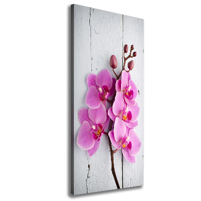 Canvas wall art Pink orchid