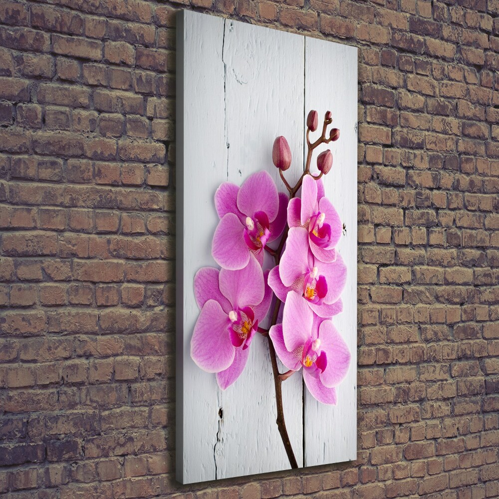 Canvas wall art Pink orchid