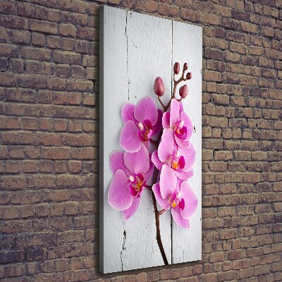 Canvas wall art Pink orchid