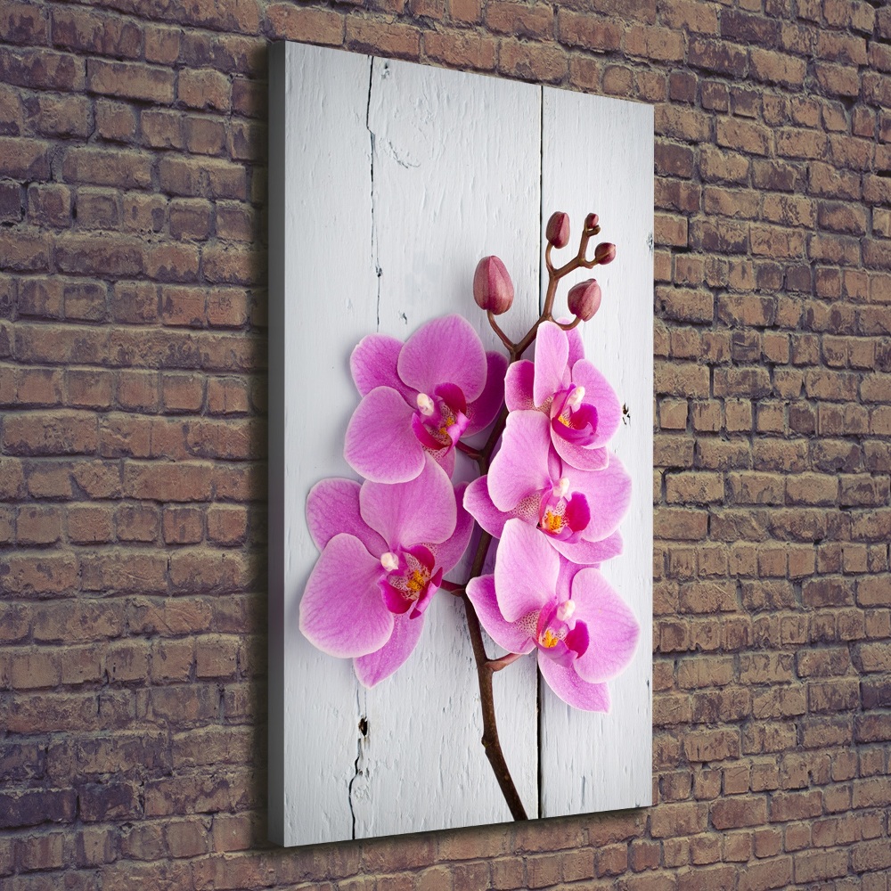 Canvas wall art Pink orchid