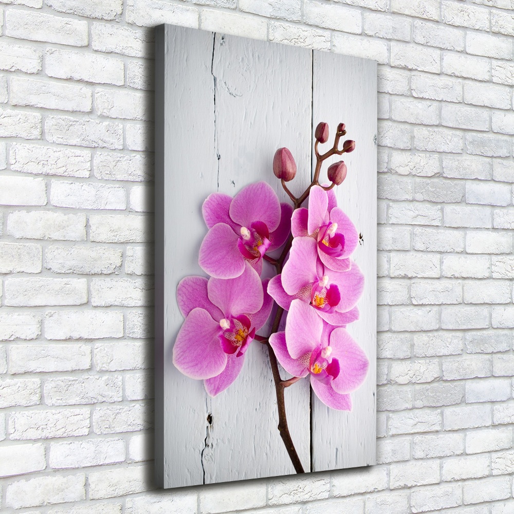 Canvas wall art Pink orchid