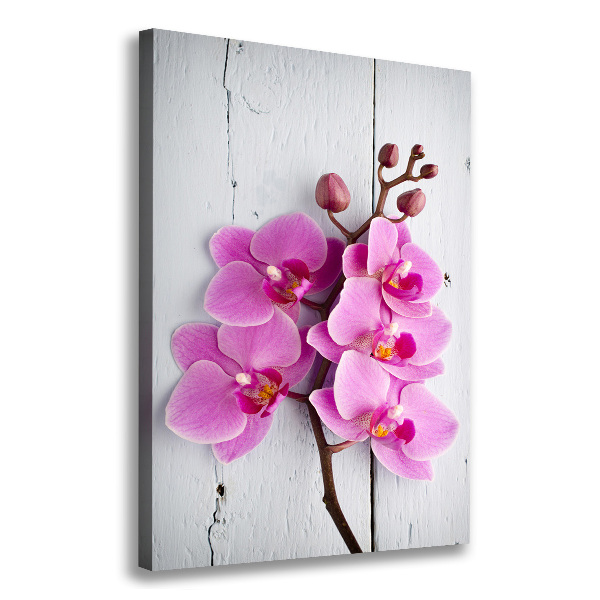 Canvas wall art Pink orchid